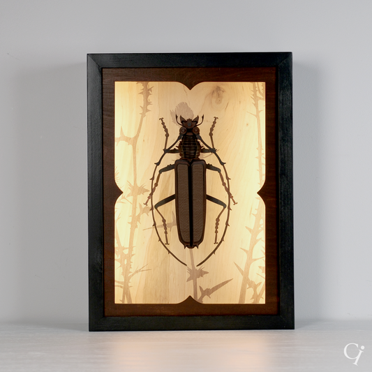 COLLECTION «NATURE» SIGIl #7 «BALANCE»