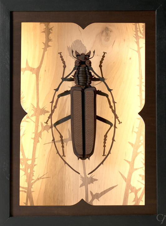 COLLECTION «NATURE» SIGIl #7 «BALANCE»